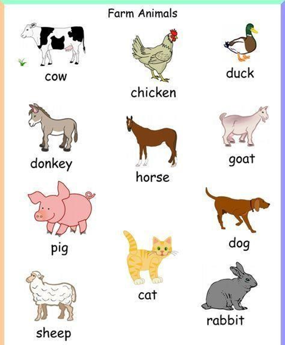 grade-5-agriculture-lesson-notes-domestic-animals-cbc-resources-and